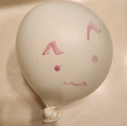 cat balloon